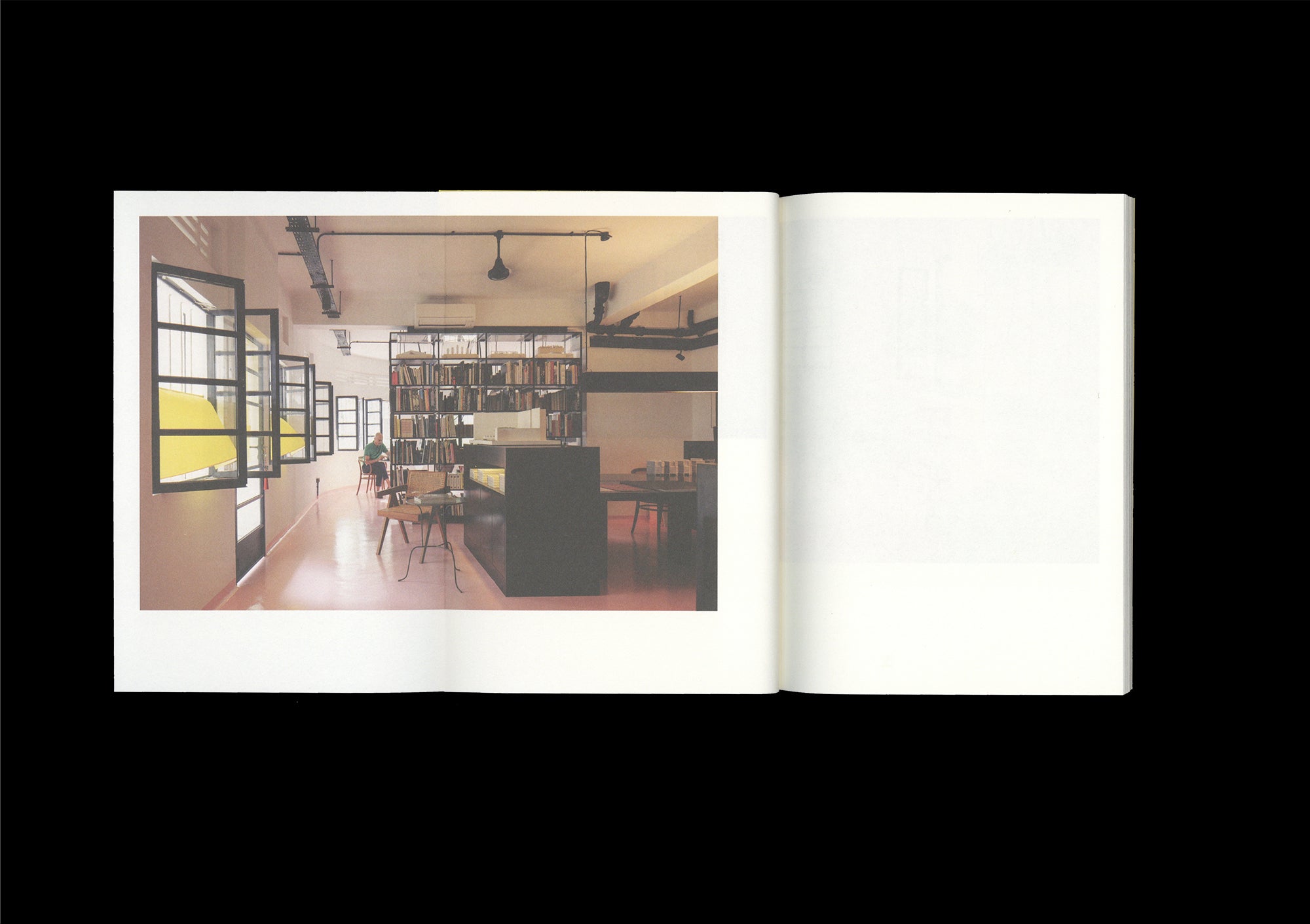 Nests: An Ode to Domesticity