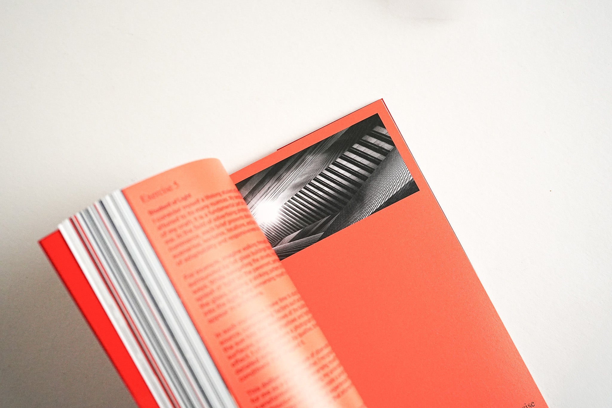 Inside The Mind Of A Photographer