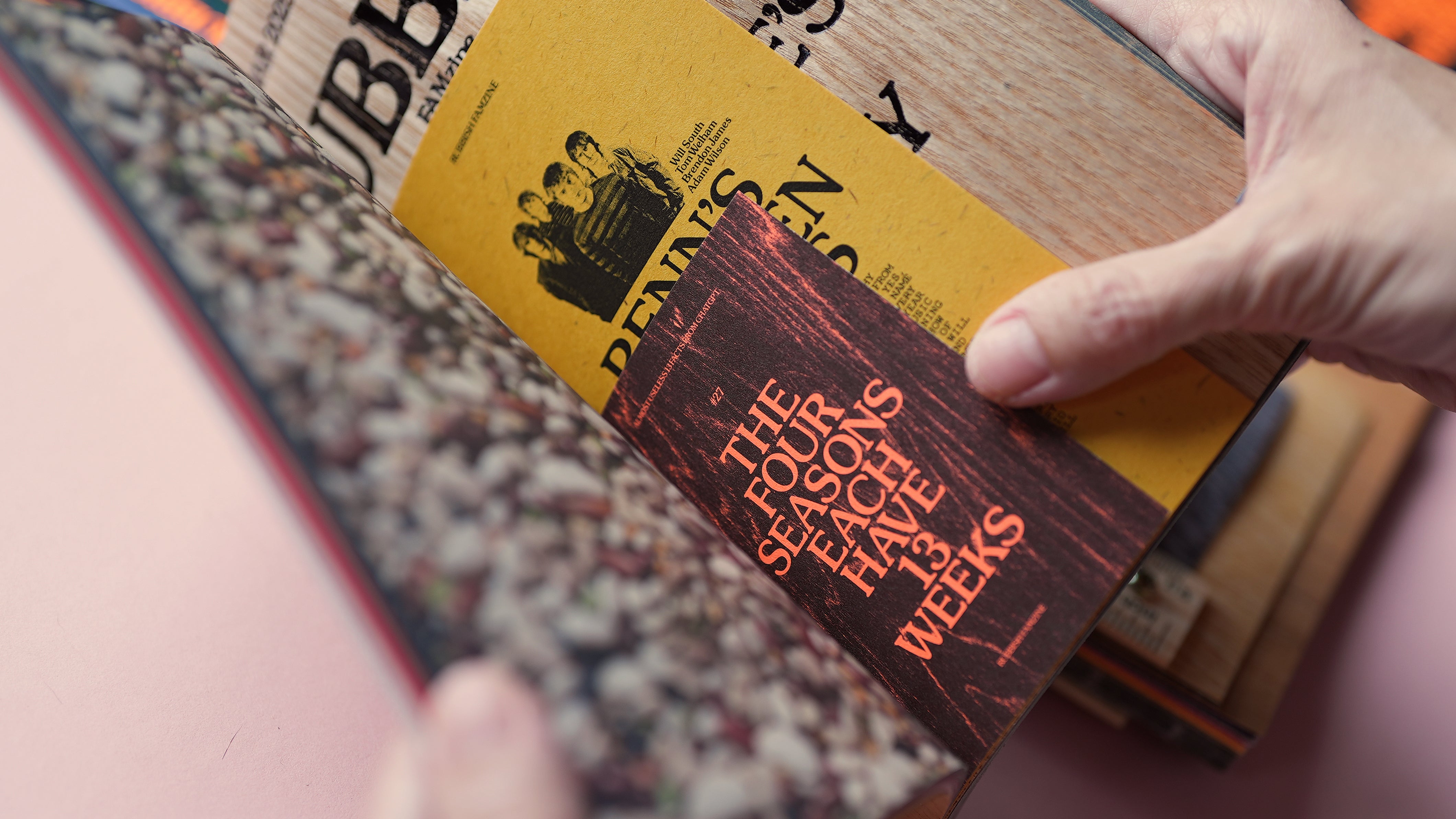 FAMZINE Issue #13: An Illogical Triskaidekaphobe's Guide to Touching Wood