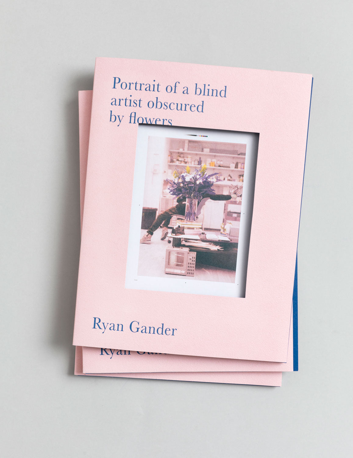 Ryan Gander: Portrait of A Blind Artist Obscured By Flowers